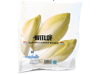 Witlof
