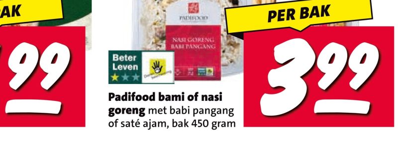 Padifood bami of nasi goreng met babi pangang of saté ajam